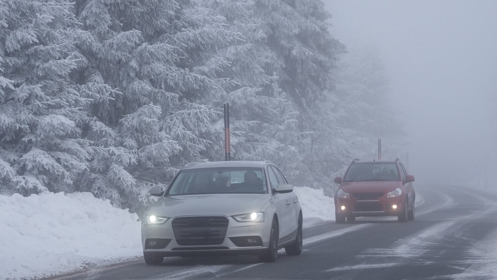 Voitures circulation brouillard