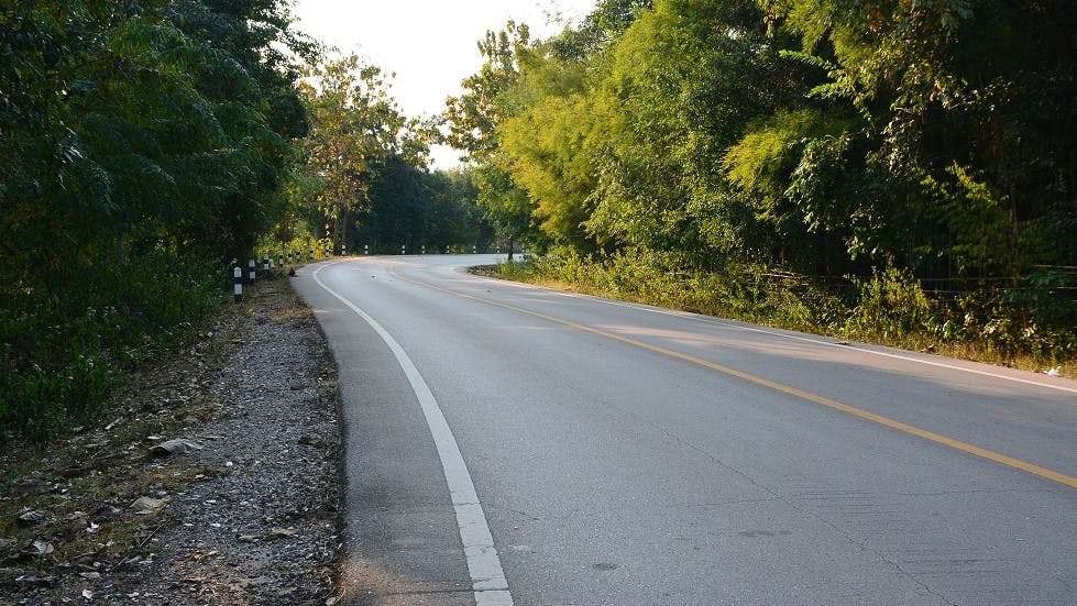 bande derasee sur une route de foret