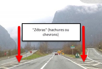 des zébras vu depuis un habitacle de voiture