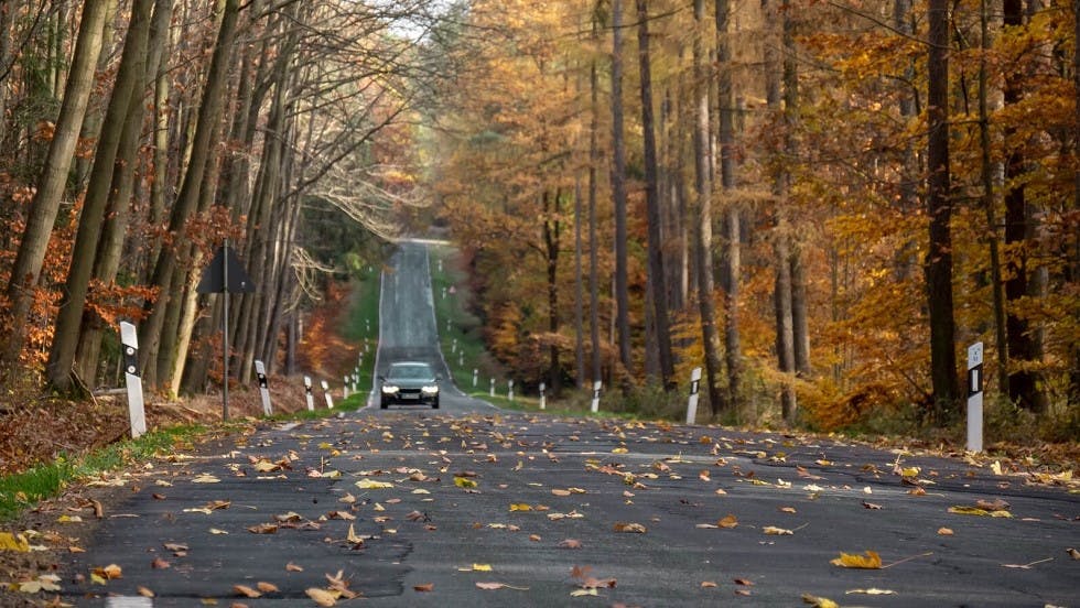 Delineateurs des bords des routes