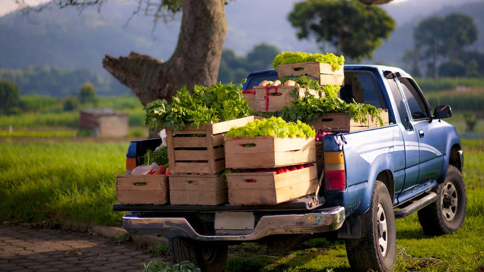 Caisses de legumes sur un pick-up