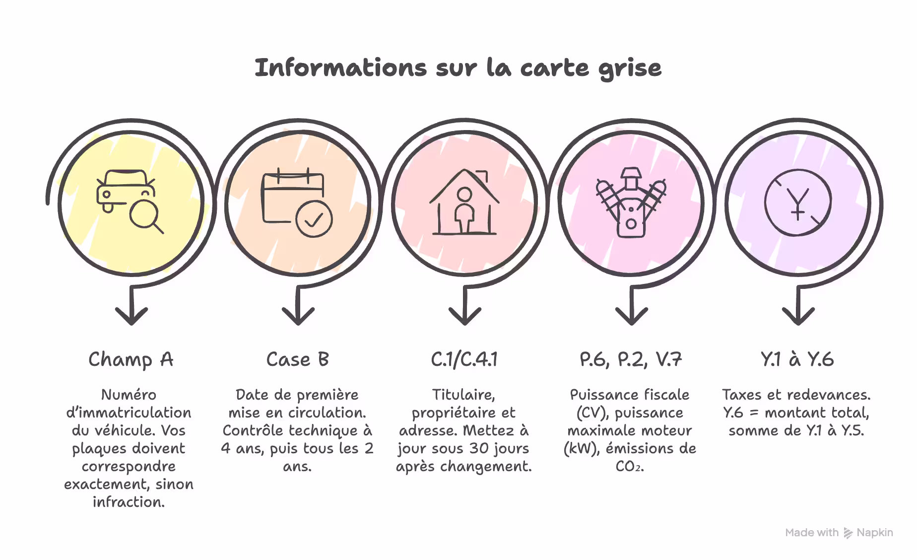 Infographie des informations sur la carte grise