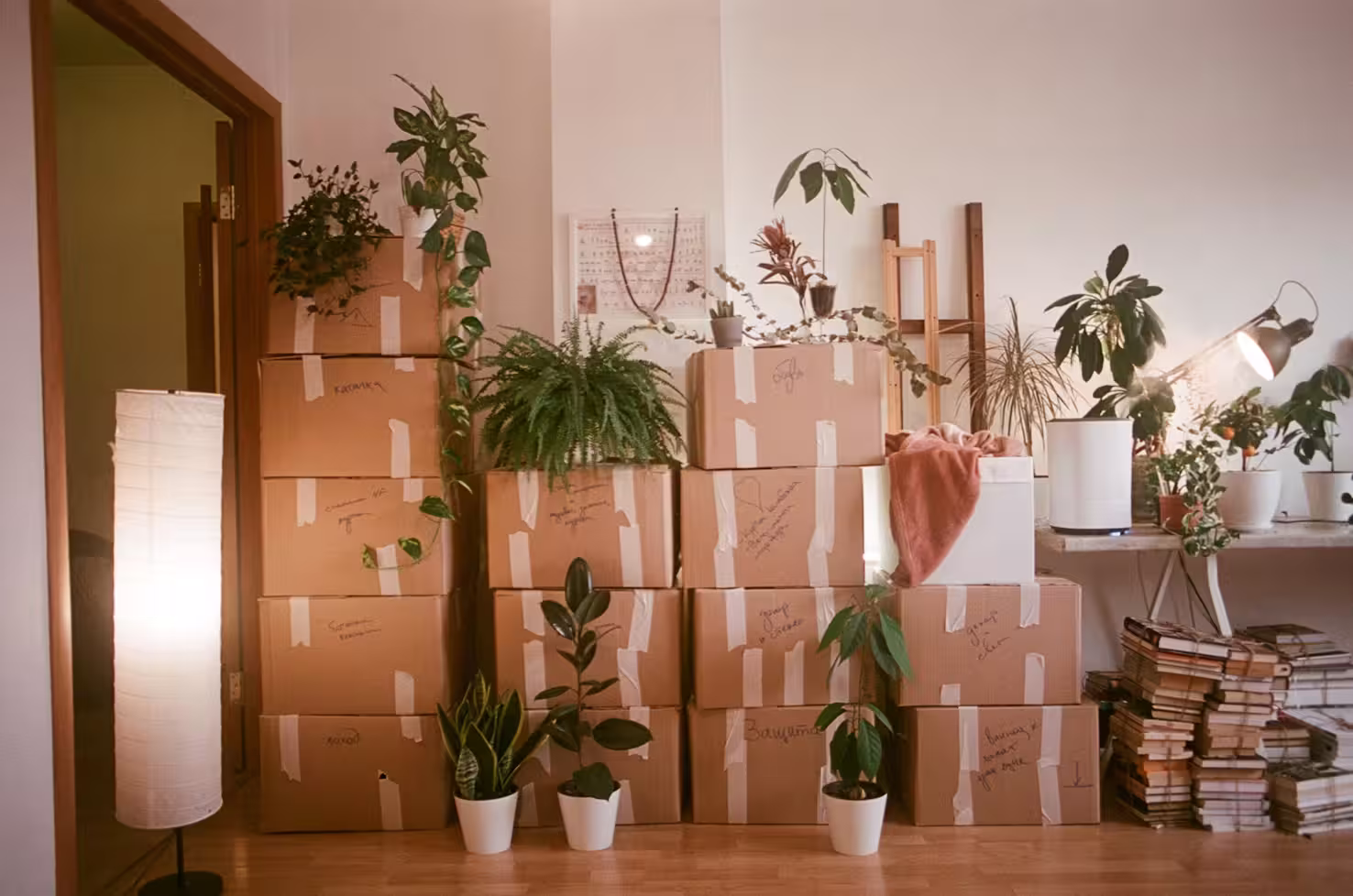 Cartons de déménagement