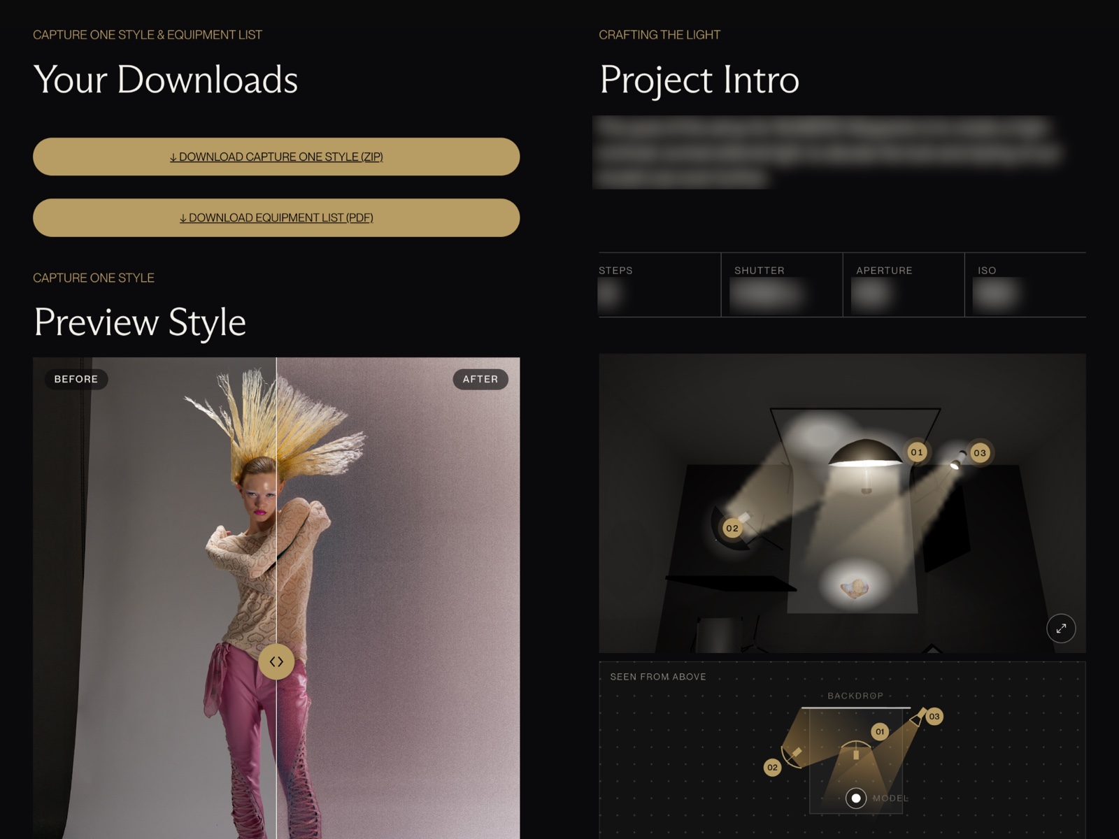 Preview of the Numéro setup page inside the Lab, with the Capture One style download, partly blurred