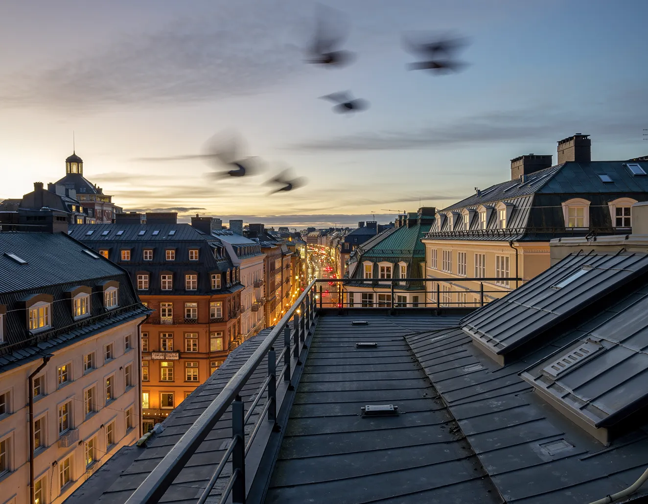Flygande duvor över hustak i en stad vid solnedgången med en upplyst gata i bakgrunden.