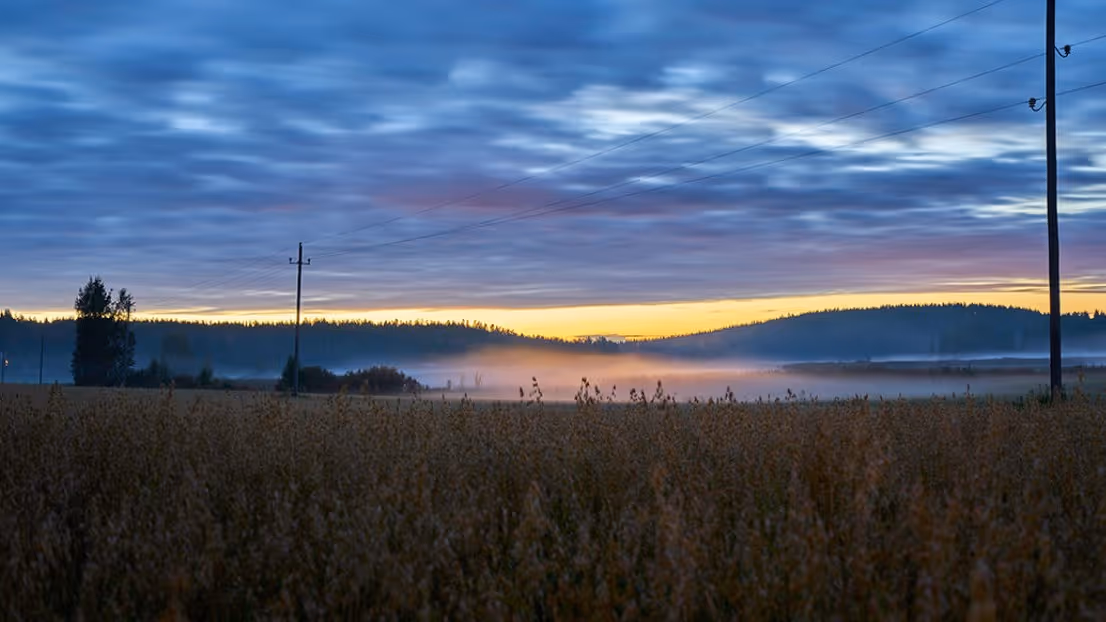 Ny i Kunnskapsbyen: Skodre SA