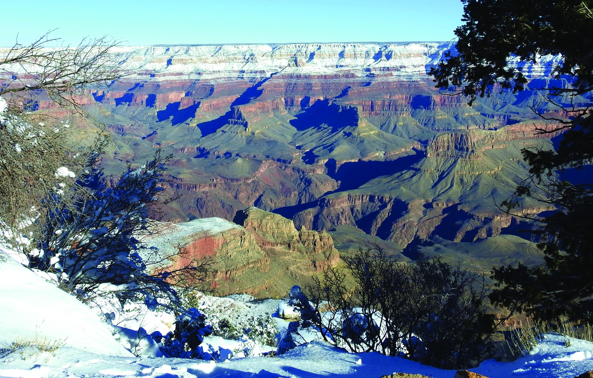 Grand Views