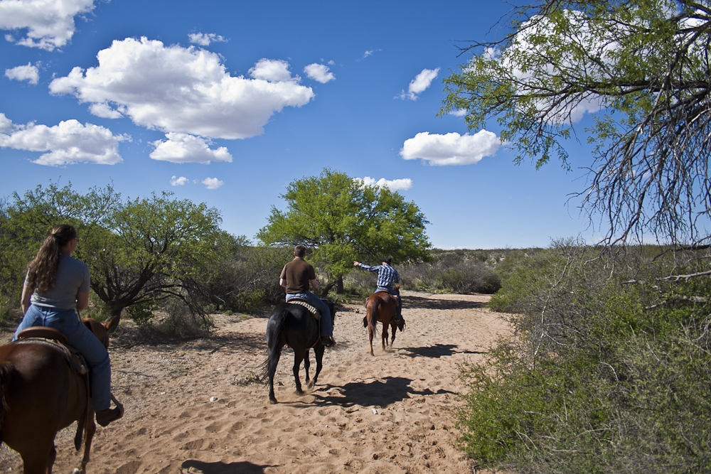 Once Upon a Time in the Wild West - An Arizona Road Trip to Tombstone