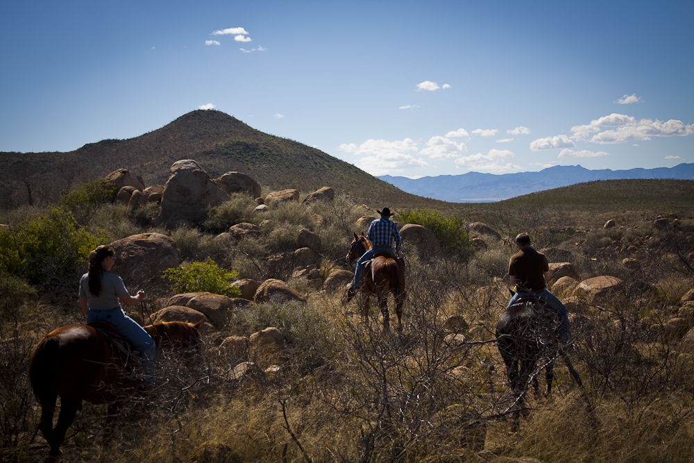 Gunslingers, Cowboys, Indians, Tv Shows and Horse-Riding, My Wild, Wild Ride In Arizona