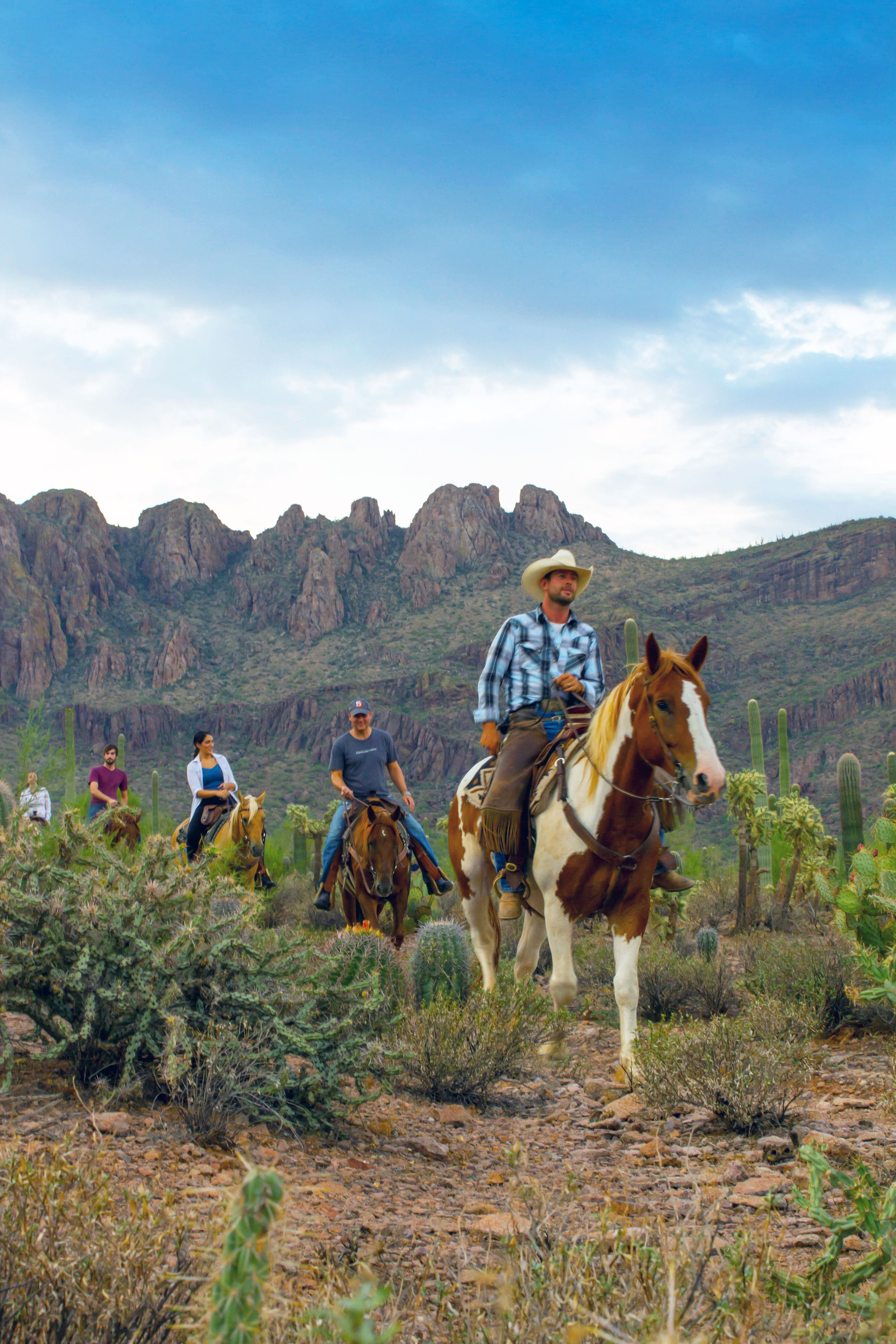 Desert Dreaming: Tucson, US