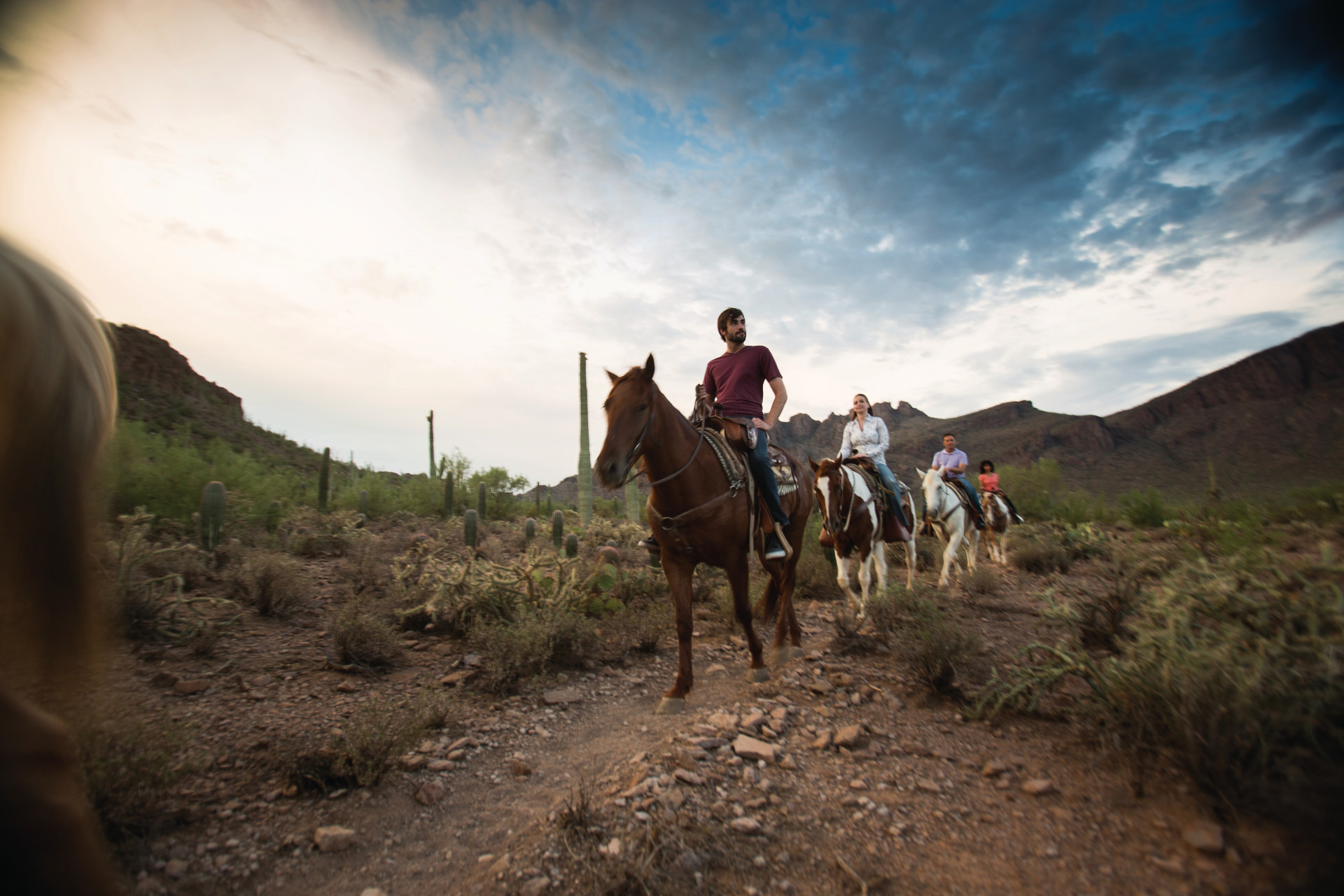 Wild Legends from the Wild West