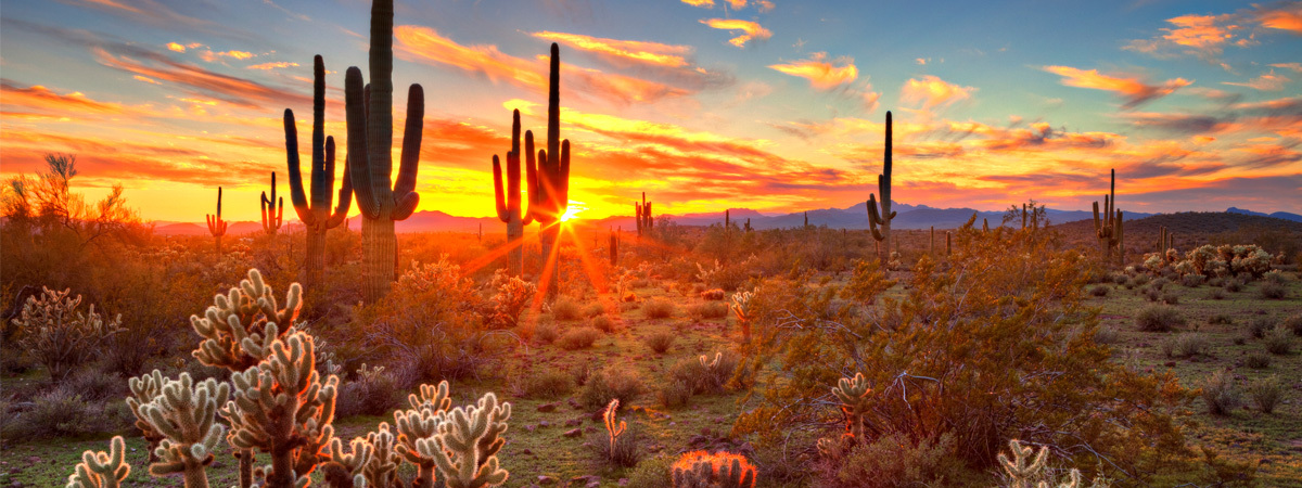 Travel in Arizona