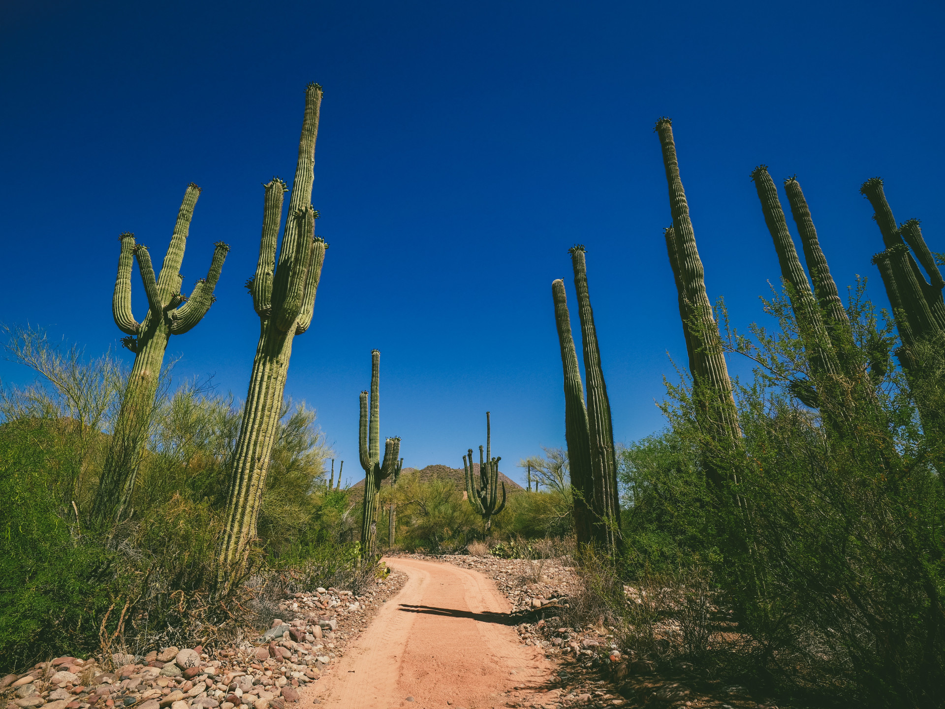 Way Out West