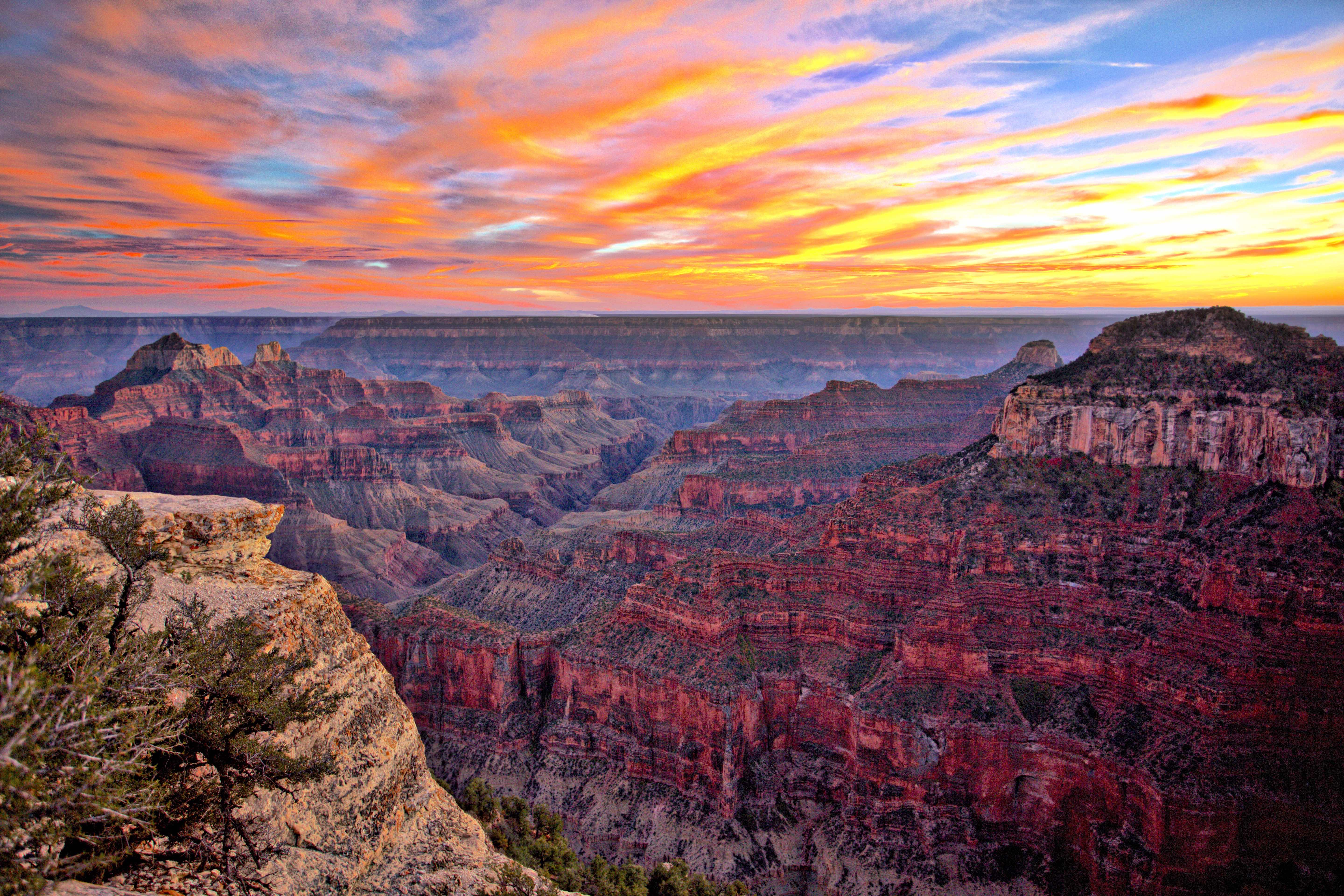 Five Little Brothers of the Grand Canyon 