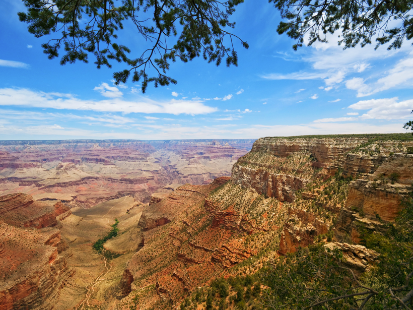 Walk through Silence