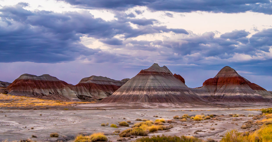 This National Park in the Painted Desert Has a 'Rainbow Forrest' - and Route 66 Americana Vibes
