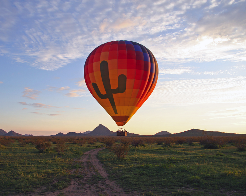 The Magic of Desert 