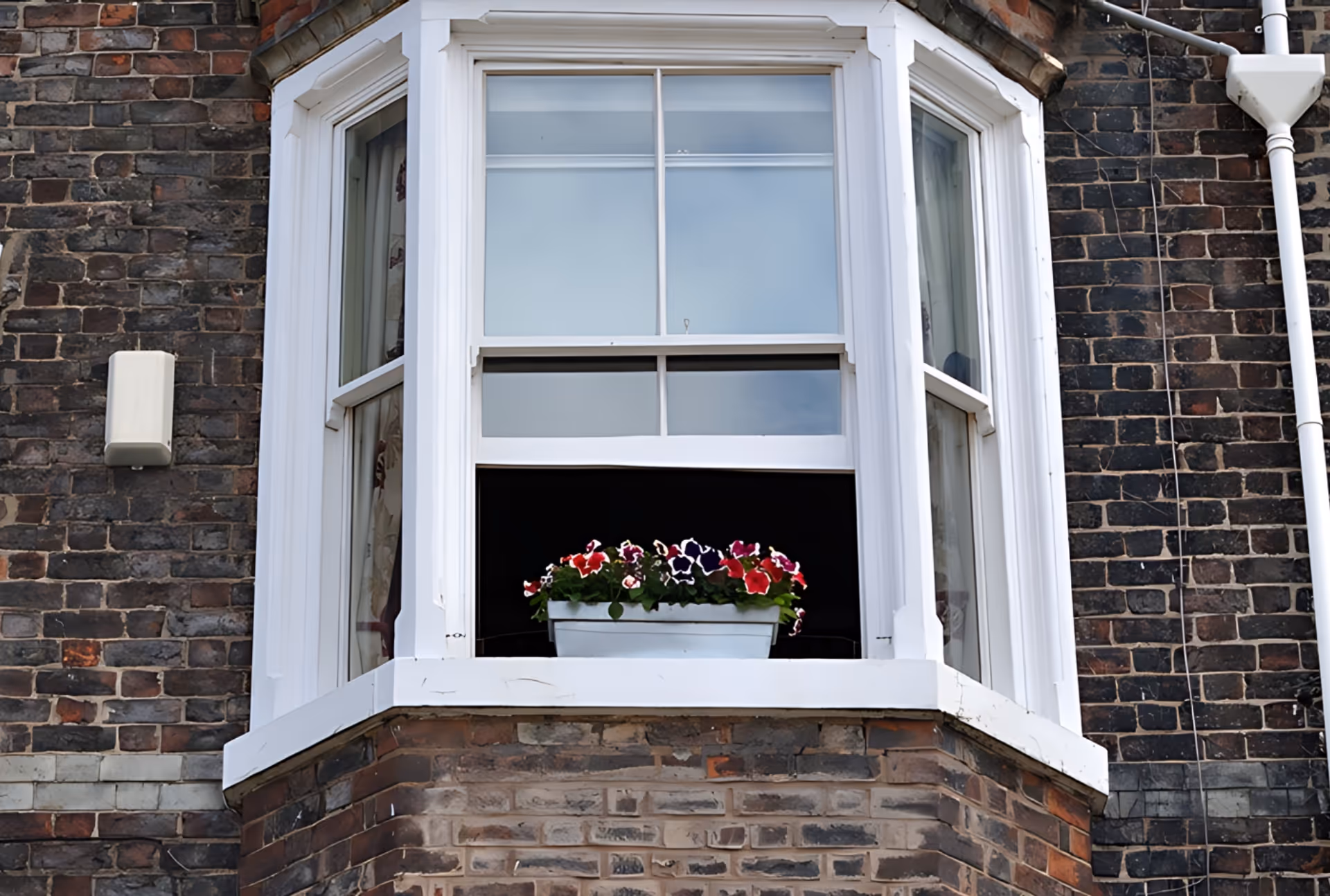 Single vertical sliding sash window with four panes in a bay structure, open lower sash displaying a flower box with colourful blooms.