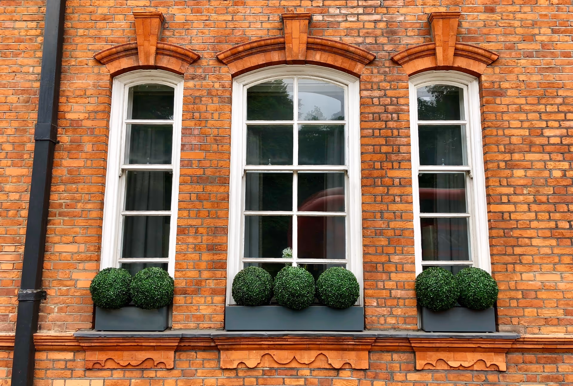 Three white-framed vertical sliding sash windows with six panes each, set in a brick wall above neatly trimmed shrubs.