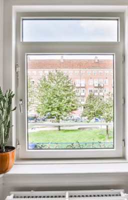 Urban window view with cactus on sill, overlooking green lawn, parked bicycles, and red-brick apartment building framed by trees.