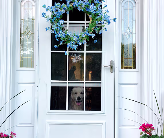 Aluminium doors by Klassic Trade Frames