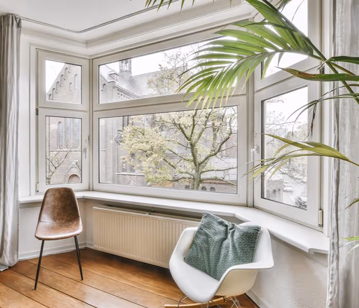 Urban window view with cactus on sill, overlooking green lawn, parked bicycles, and red-brick apartment building framed by trees.