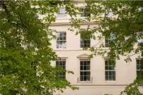 Elegant townhouses with tall windows framed by lush green tree