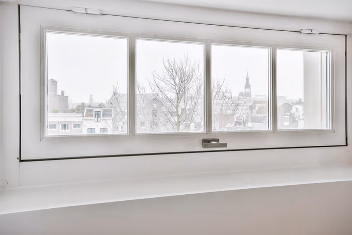 Tall four-pane window overlooking a lush garden