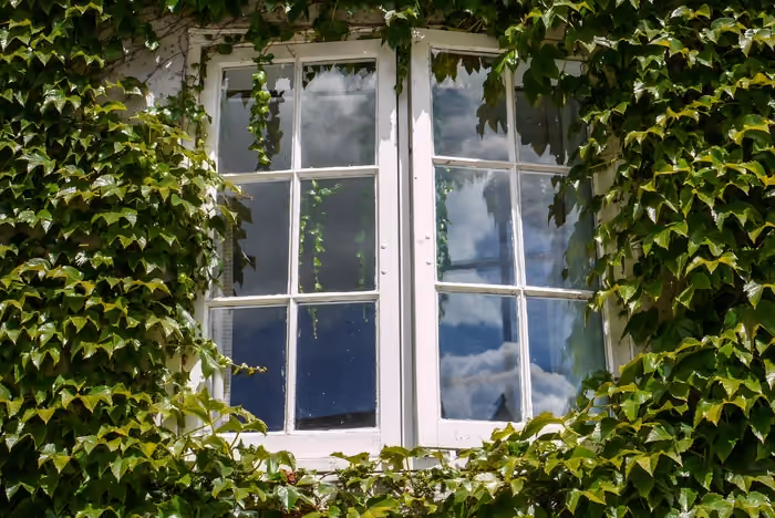 Tall four-pane window overlooking a lush garden