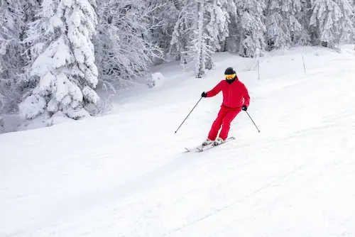 Skier in a red outfit skiing down a snowy slope with snow-covered trees in the background.