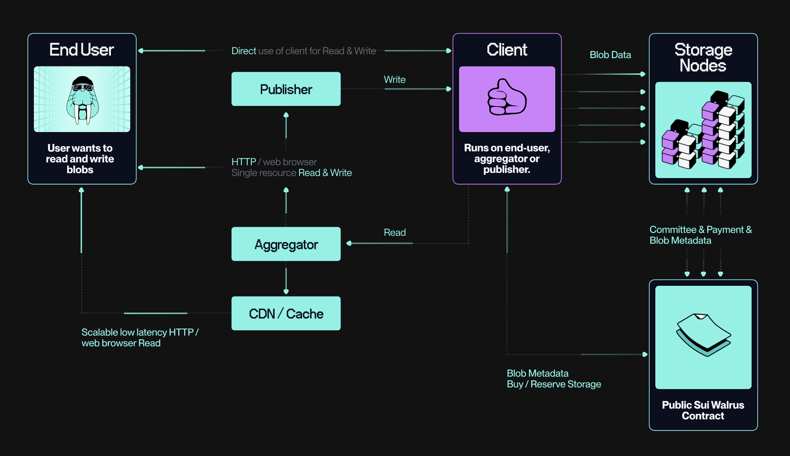 A blob’s lifecycle on Walrus is managed by client software and validated on Sui. Beyond this lifecycle, further infrastructure supports Walrus’ practical utility and performance.