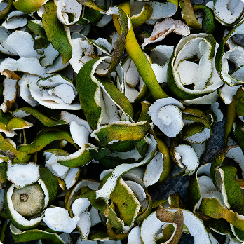 Close-up of dried green and white curled citrus peels scattered together.