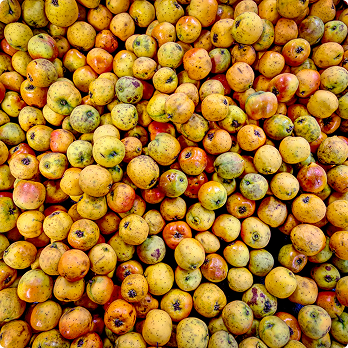 A large pile of small yellow and red apples with some blemishes and spots.