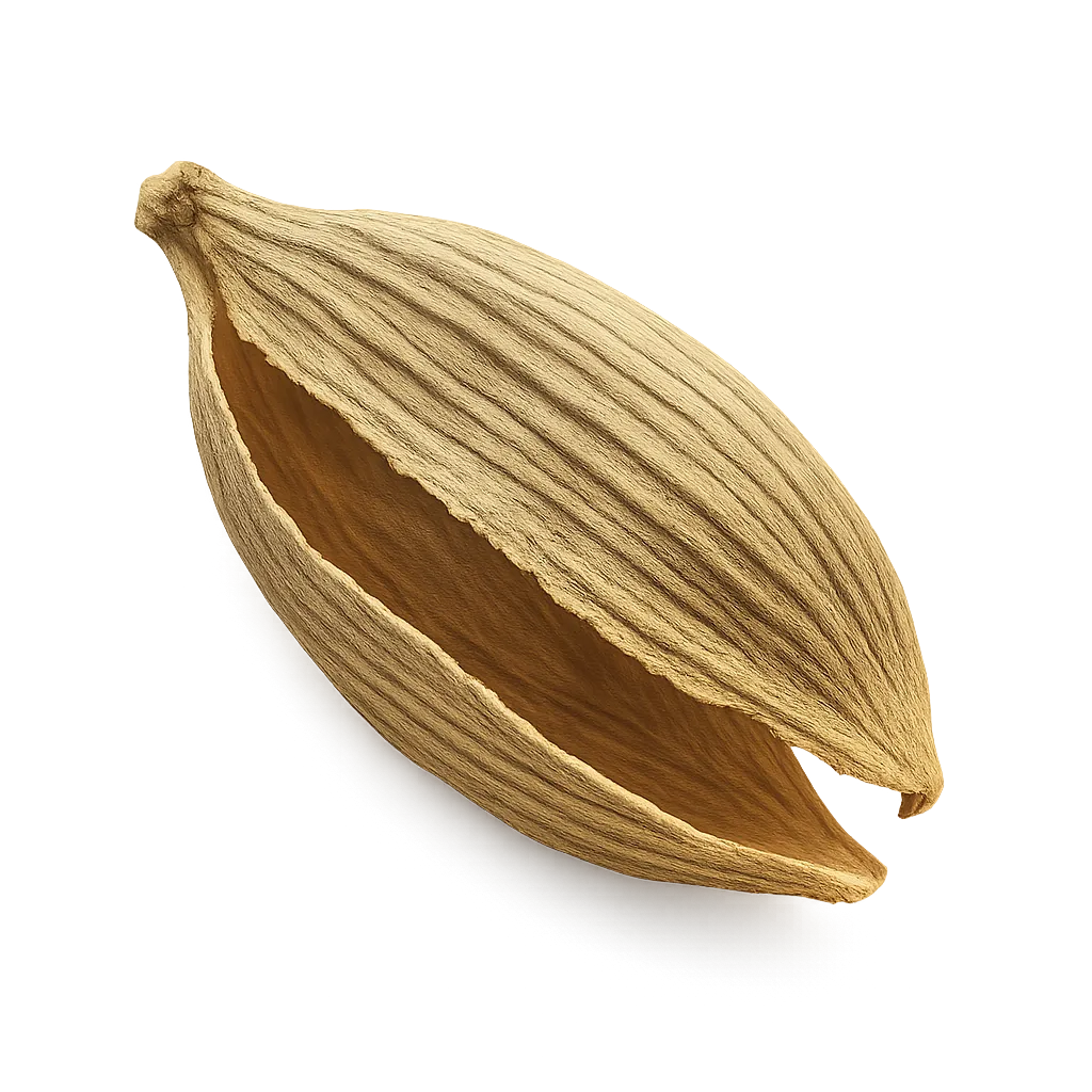 cardamom