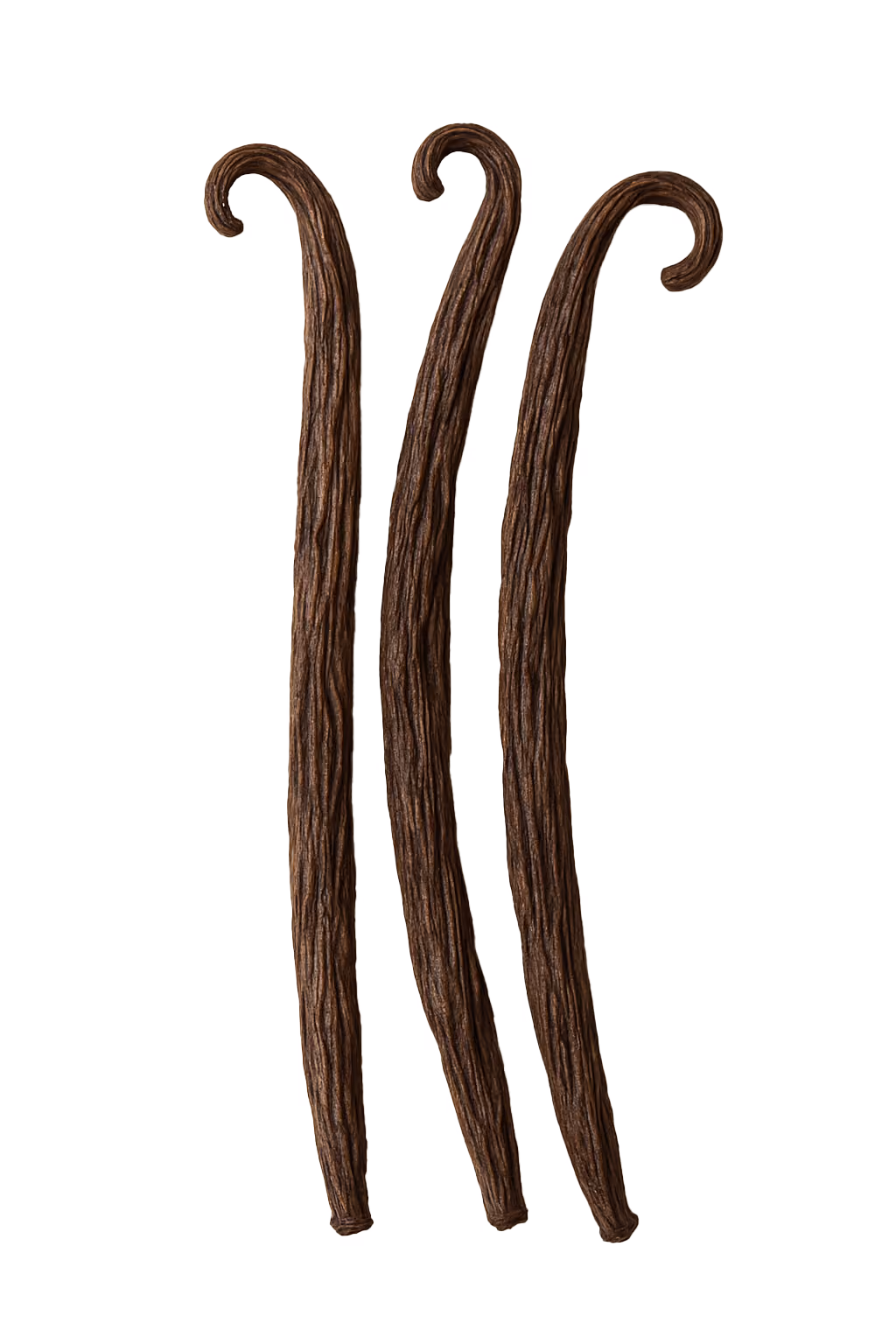 vanilla seeds