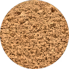 Apple Fiber