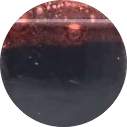 Elderberry concentrate