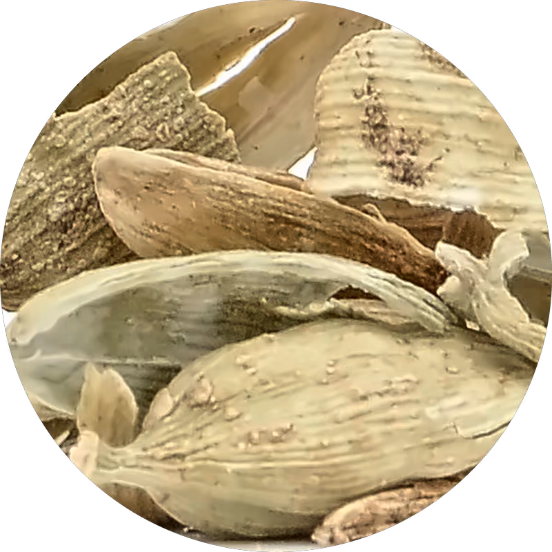 Cardamome top