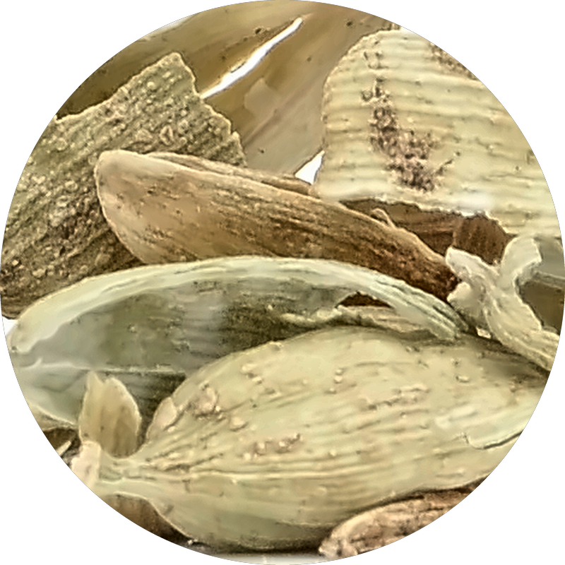 Cardamome top
