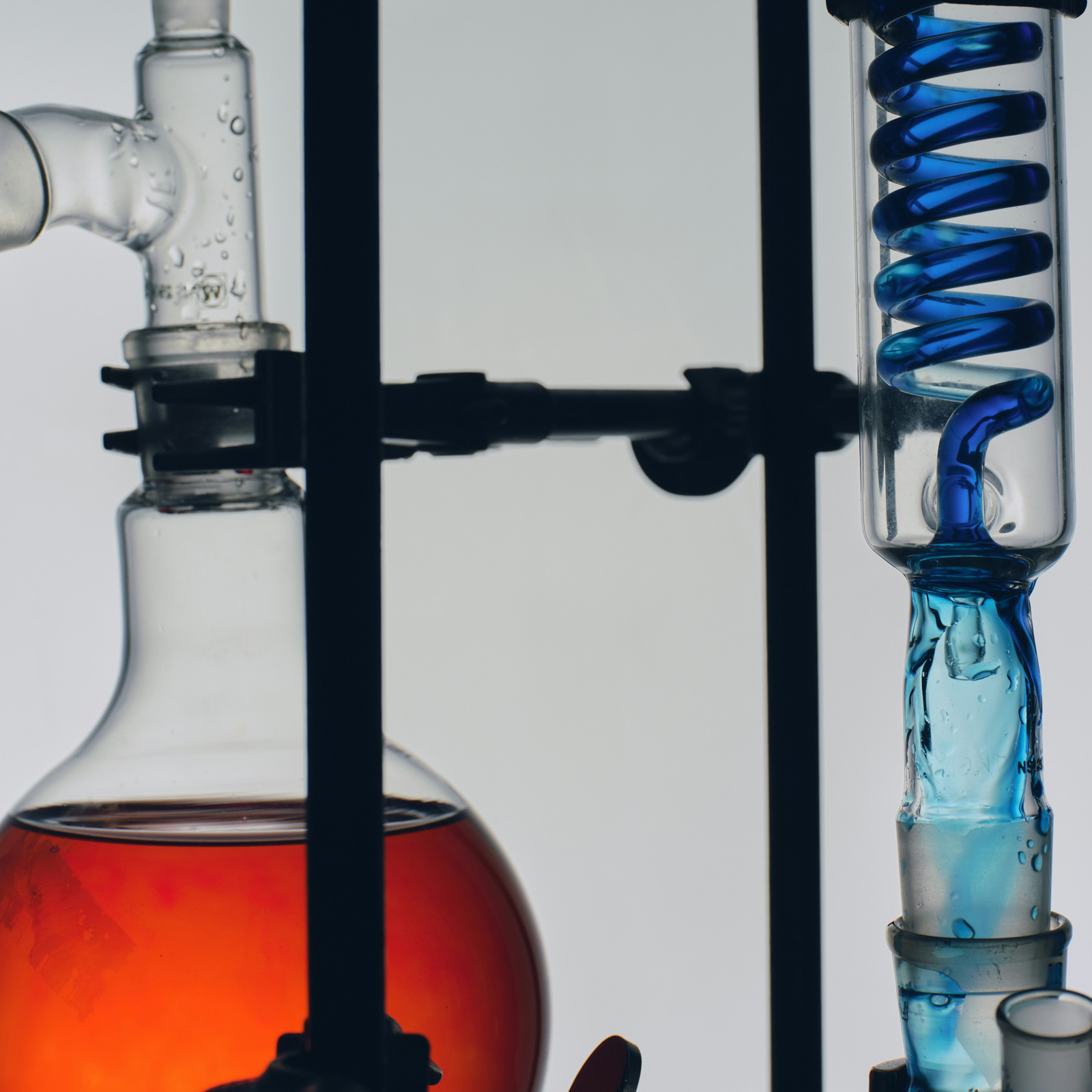 Laboratory process illustrating the Sequenzia approach: creation, adaptation, and evolution with evidence-based gates
