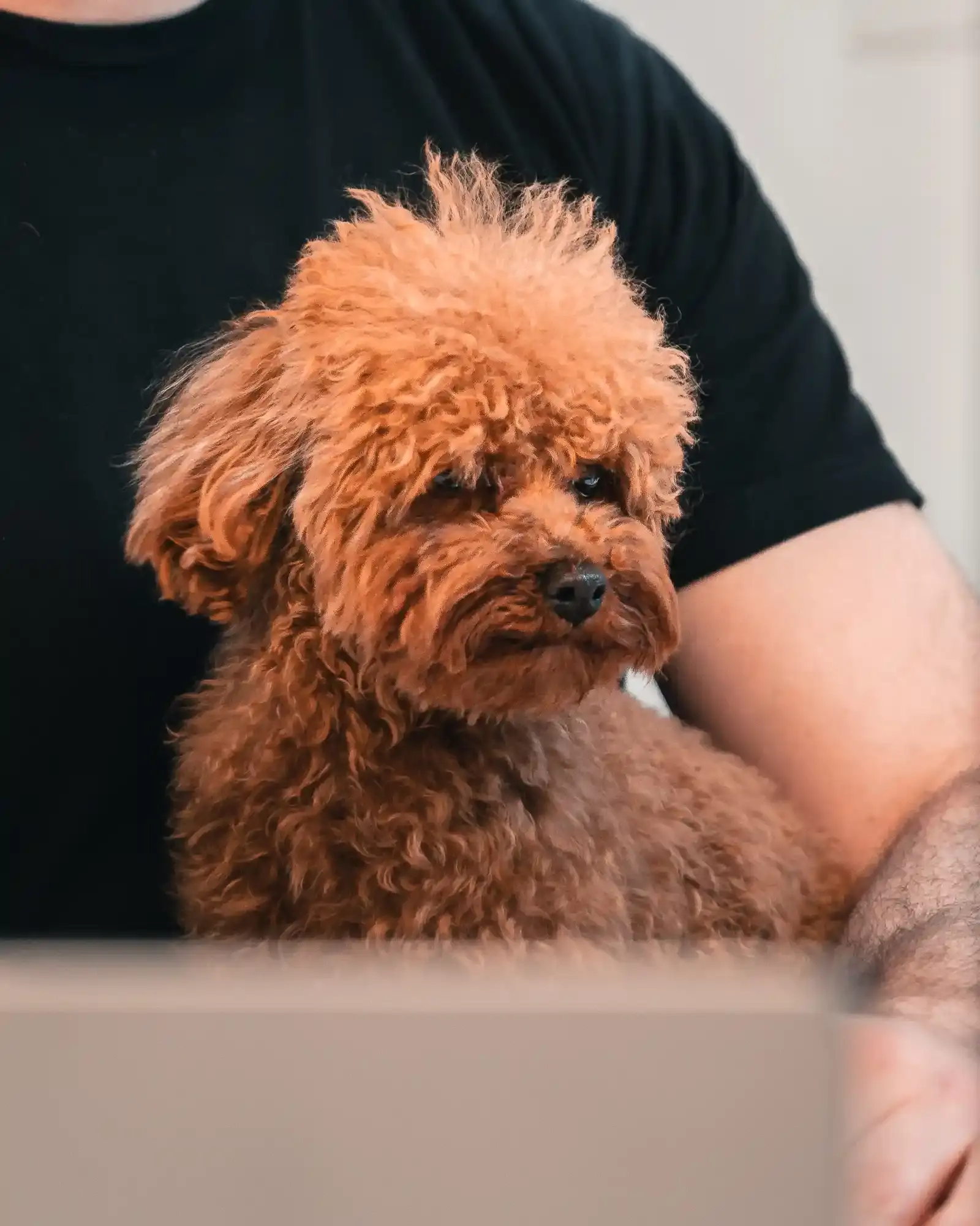 Bobbi-Lou Cafe Grafiek