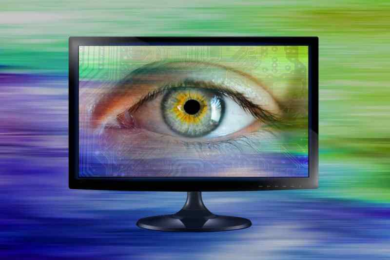 Employees: the weakest link in the face of cybercrime?