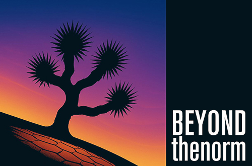 Beyond the Norm logo