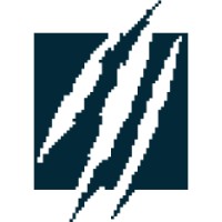 Raptor Digital (Raptor Group)