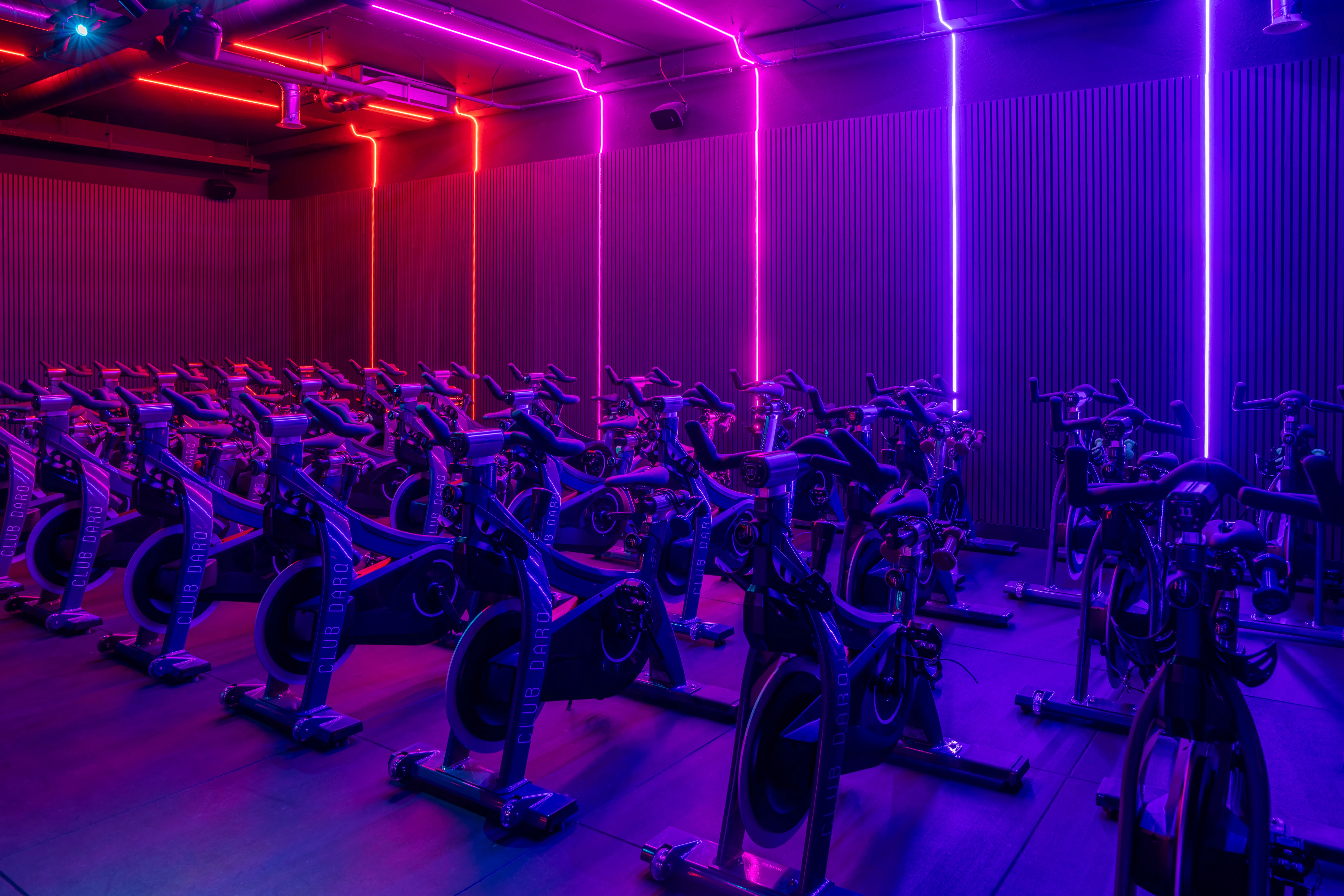 Indoor cycling studio with rows of stationary bikes under purple and red neon lights.