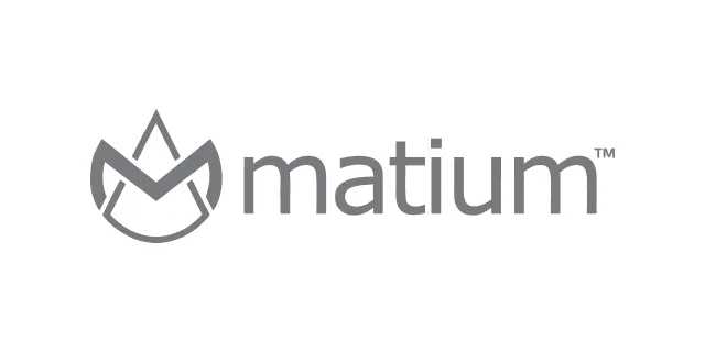 Company Logo - FirstData