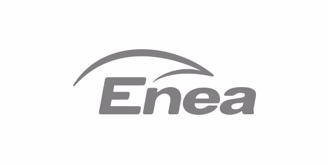 Company Logo - FirstData
