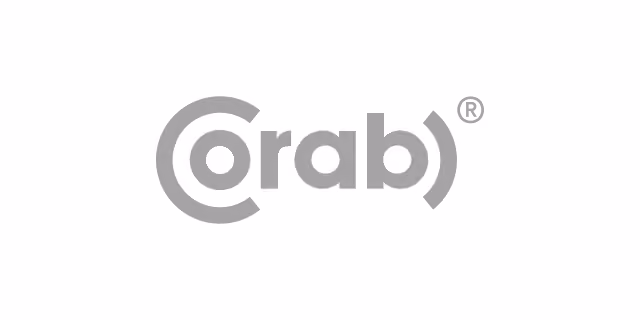 Company Logo - FirstData