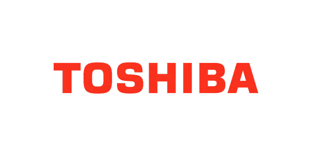 Company Logo - FirstData