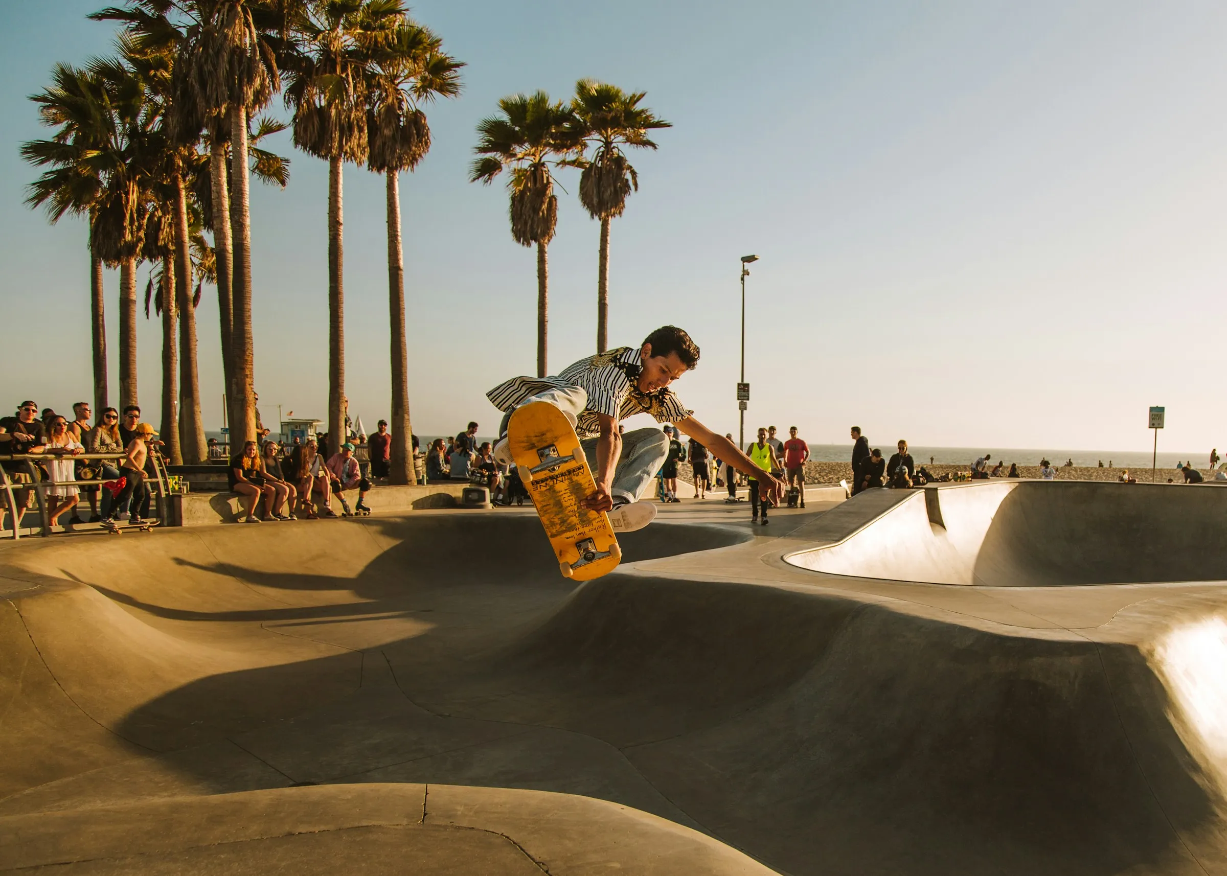 Skater